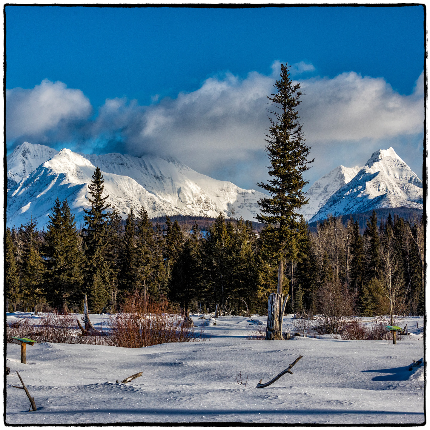 North Fork/Polebridge, Montana