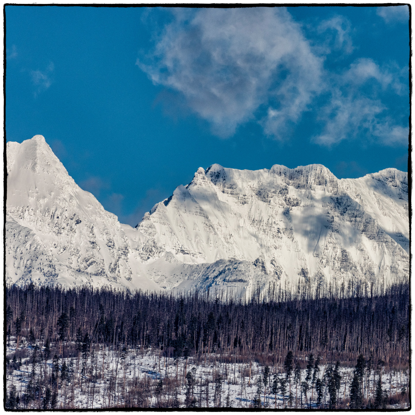 North Fork/Polebridge, Montana