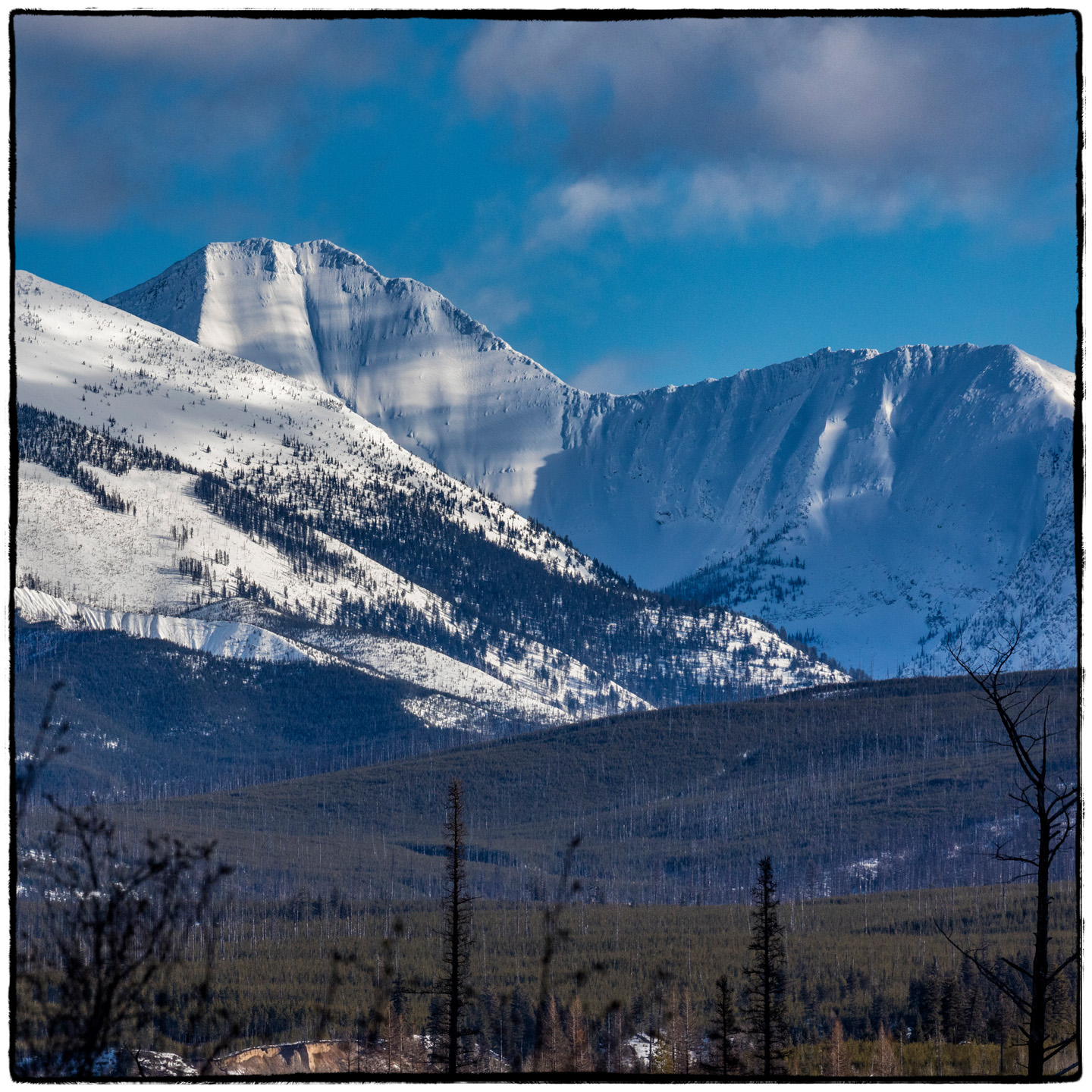 North Fork/Polebridge, Montana