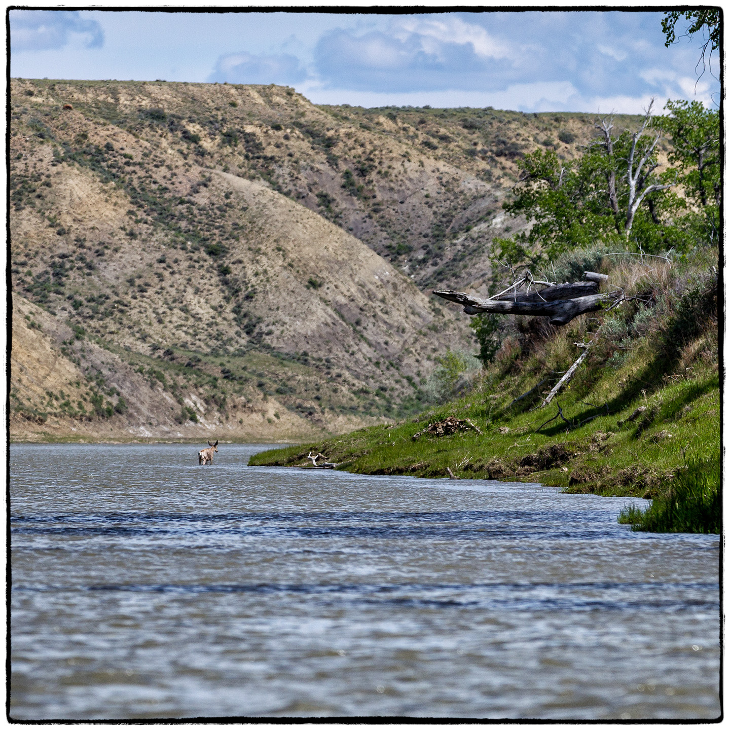 Upper Missouri River, Montana