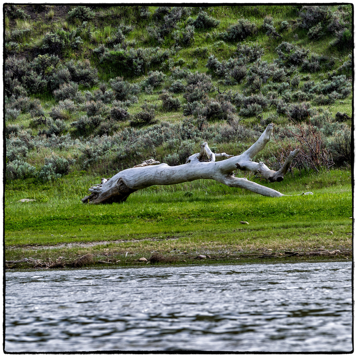 Upper Missouri River, Montana