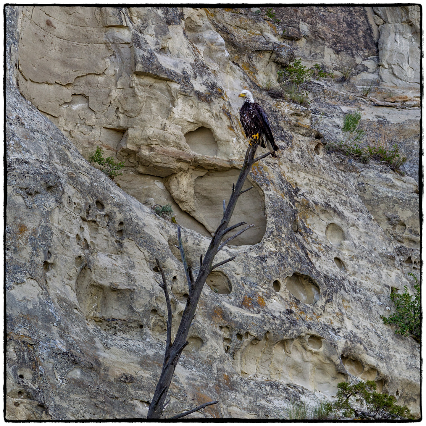 Upper Missouri River, Montana