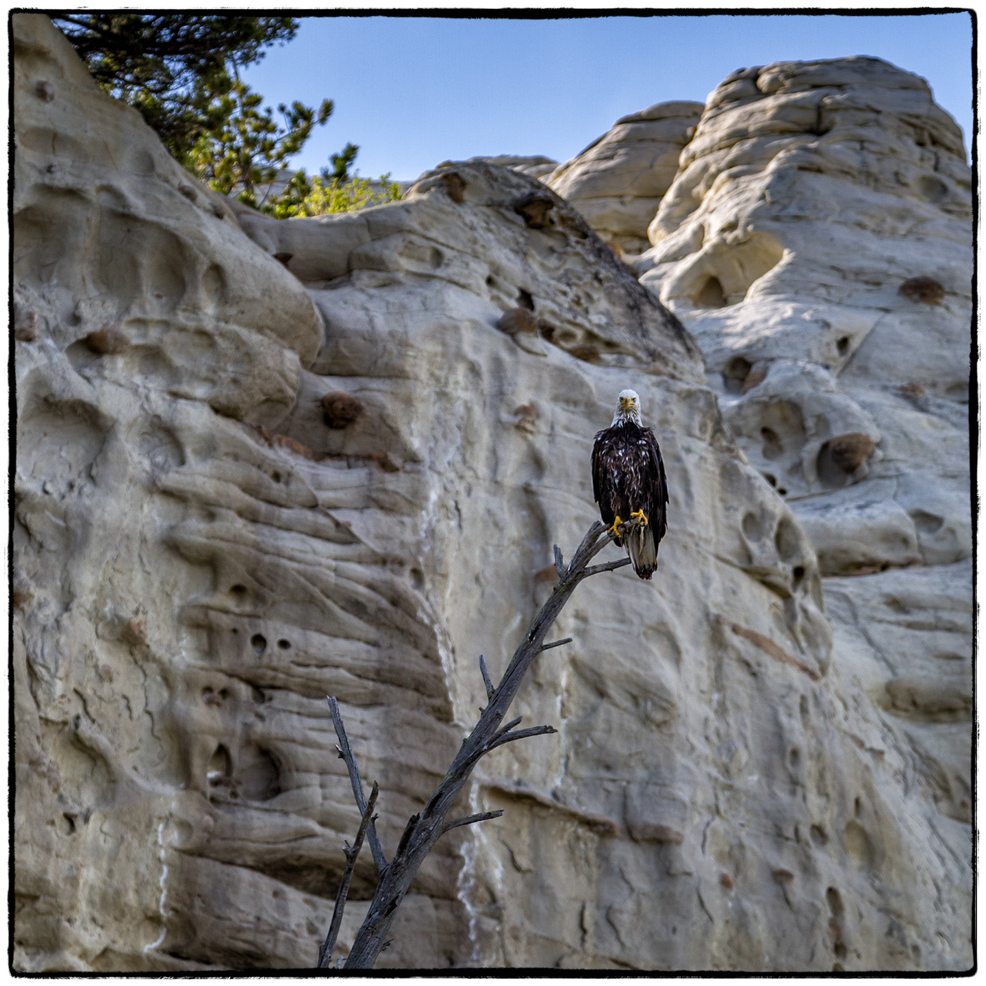 Upper Missouri River, Montana