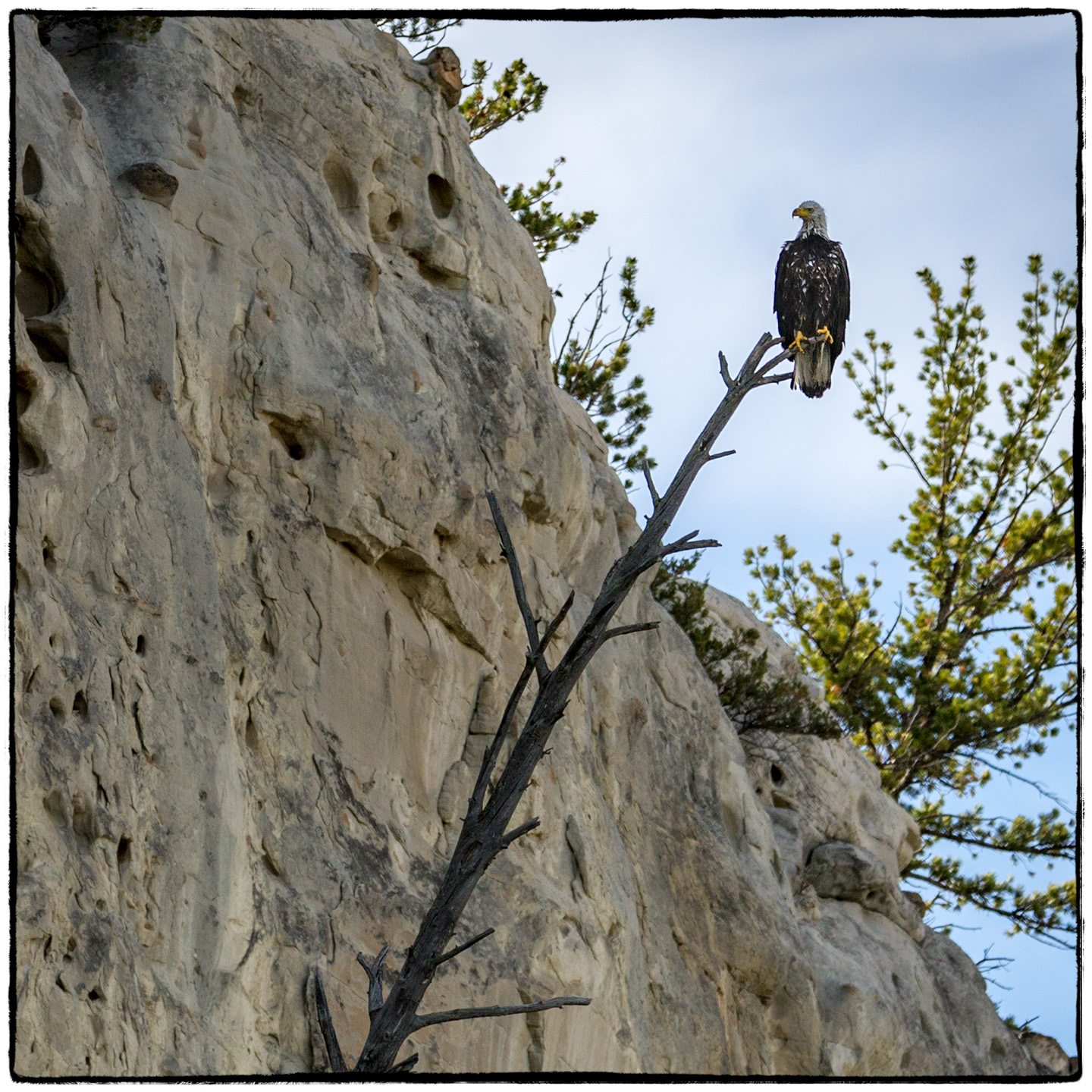 Upper Missouri River, Montana