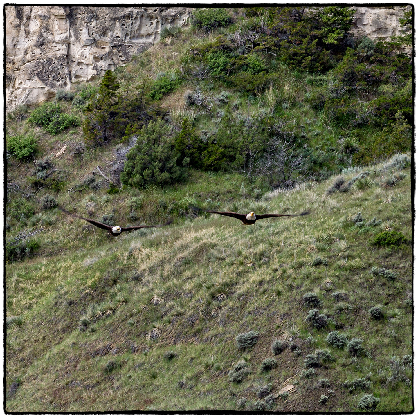 Upper Missouri River, Montana