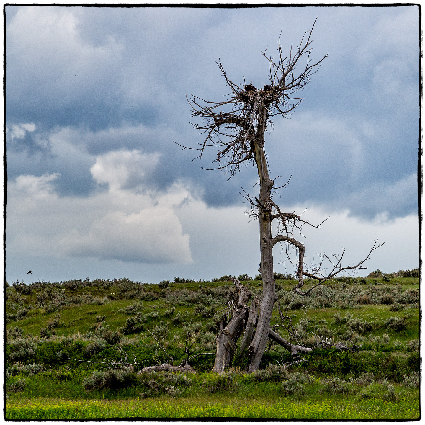 Upper Missouri River, Montana