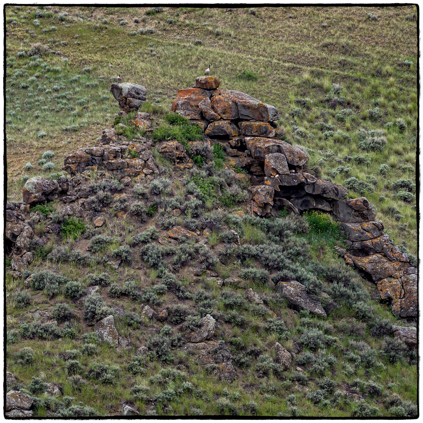Upper Missouri River, Montana
