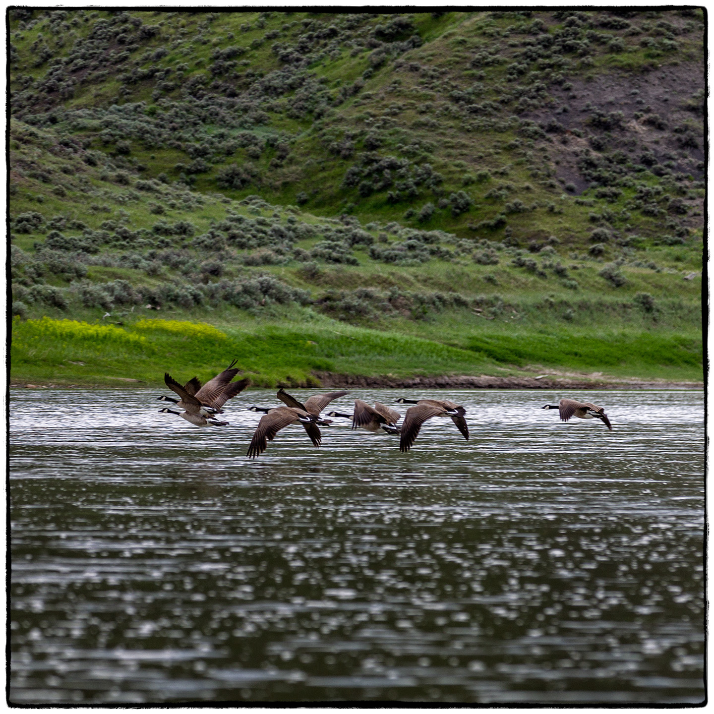 Upper Missouri River, Montana
