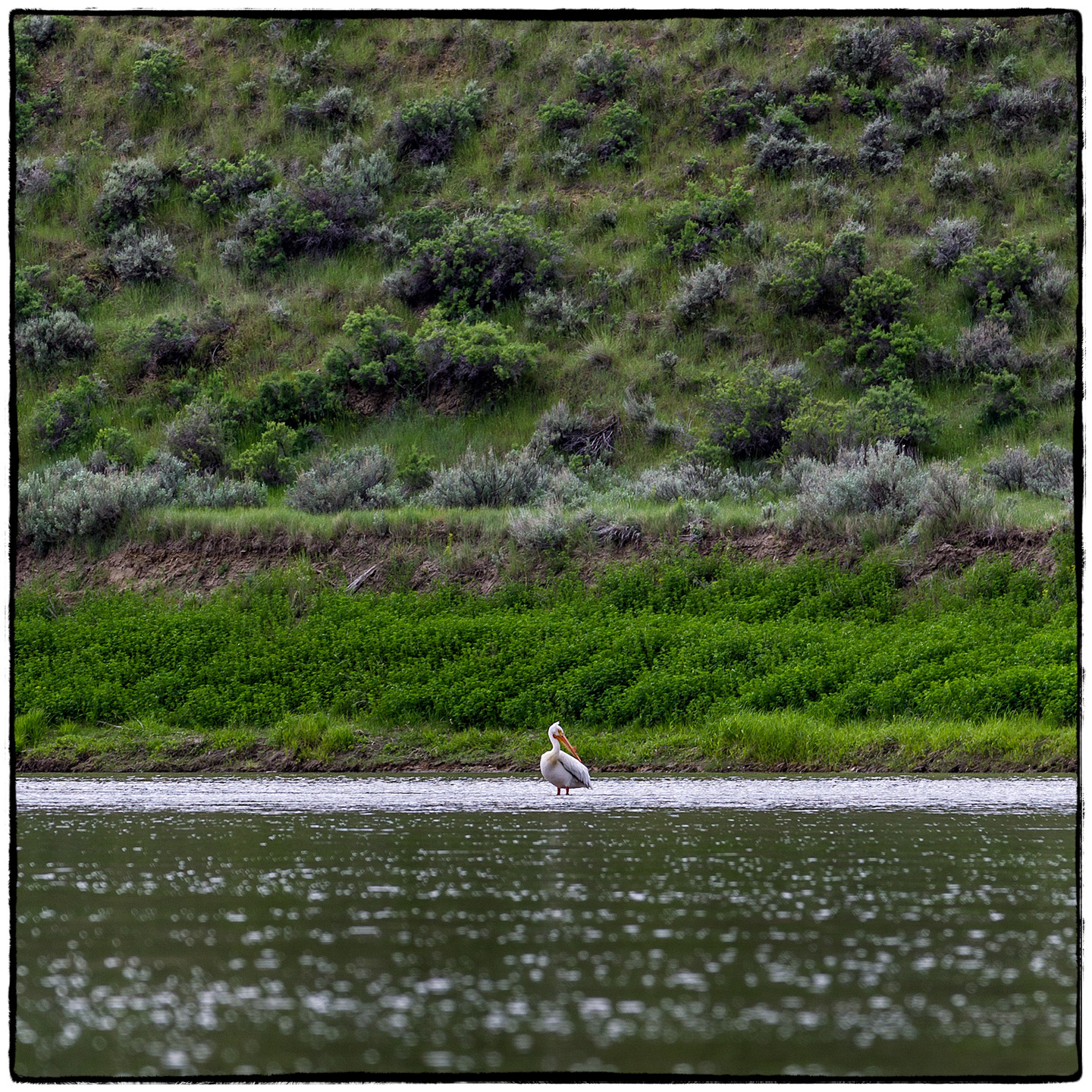 Upper Missouri River, Montana
