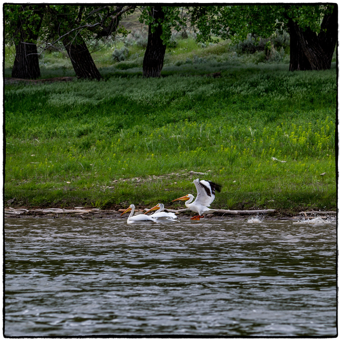Upper Missouri River, Montana