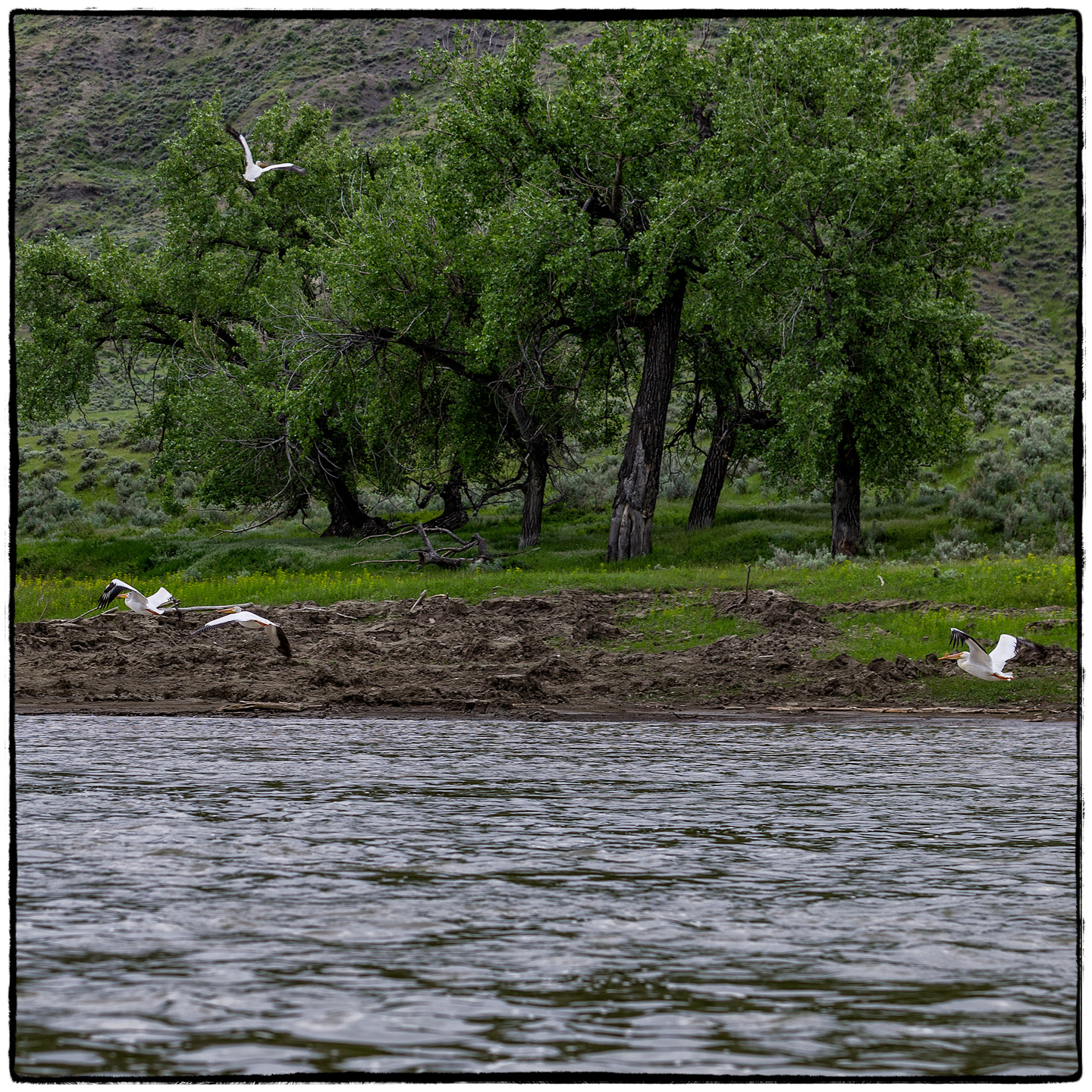 Upper Missouri River, Montana