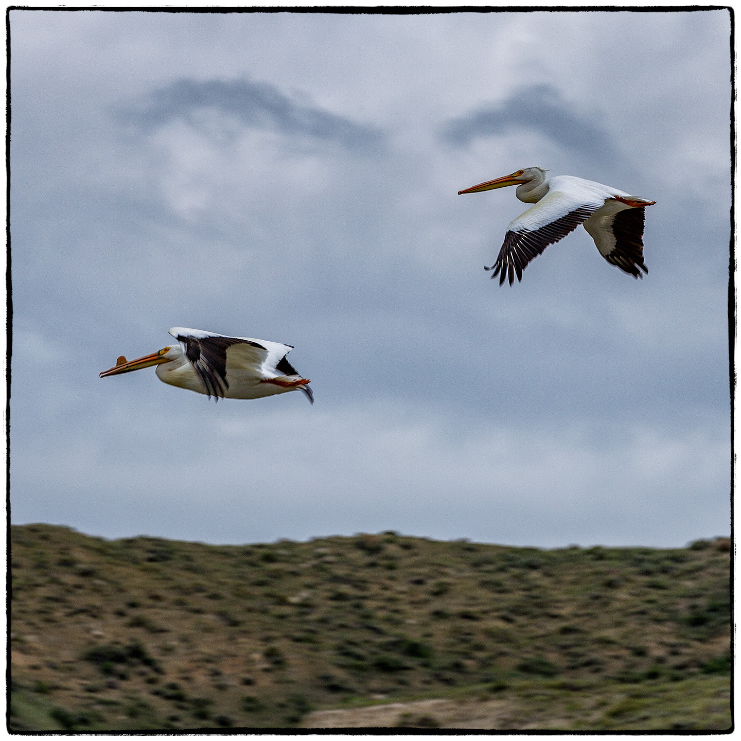 Upper Missouri River, Montana
