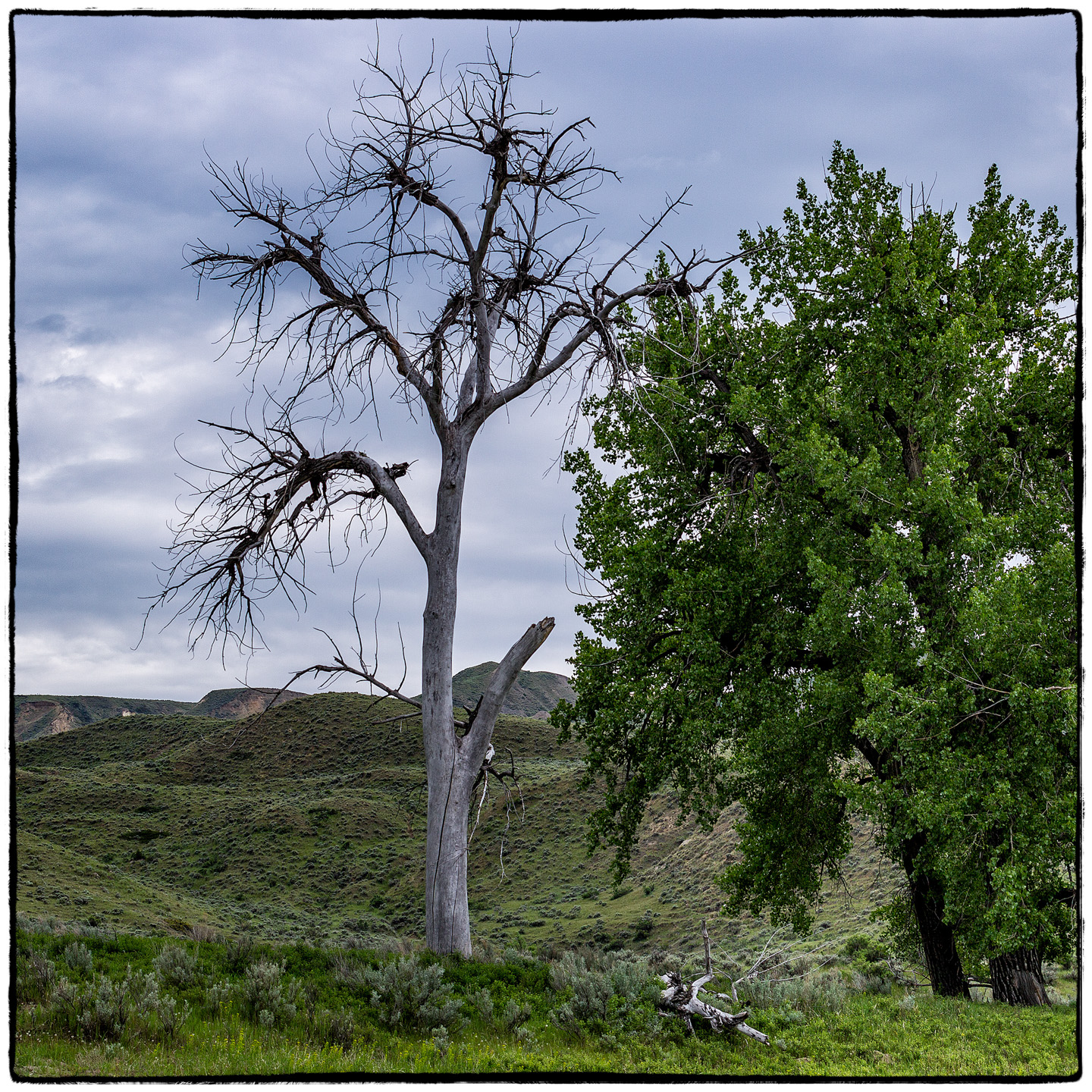 Upper Missouri River, Montana