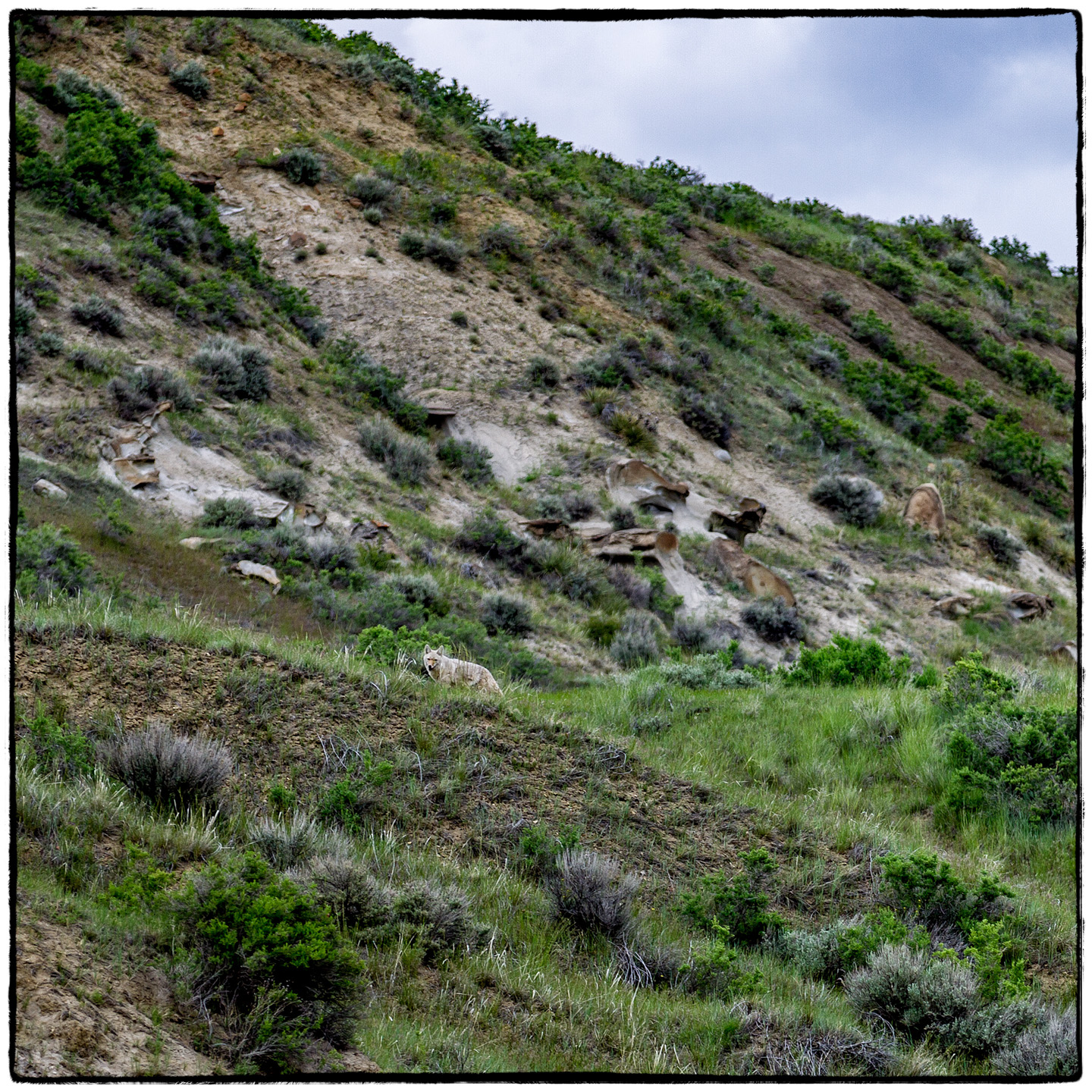 Upper Missouri River, Montana