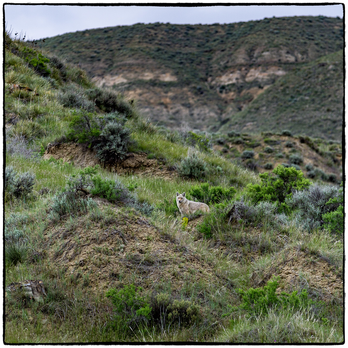 Upper Missouri River, Montana